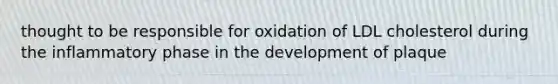 thought to be responsible for oxidation of LDL cholesterol during the inflammatory phase in the development of plaque