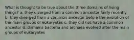 What is thought to be true about the three domains of living things? a. they diverged from a common ancestor fairly recently b. they diverged from a common ancestor before the evolution of the main groups of eukaryotes c. they did not have a common ancestor d. domains bacteria and archaea evolved after the main groups of eukaryotes