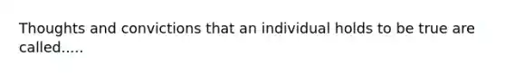 Thoughts and convictions that an individual holds to be true are called.....