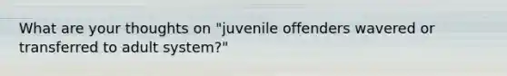 What are your thoughts on "juvenile offenders wavered or transferred to adult system?"