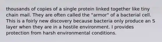 thousands of copies of a single protein linked together like tiny chain mail. They are often called the "armor" of a bacterial cell. This is a foirly new discovery because bacteria only produce an S layer when they are in a hostile environment. I provides protection from harsh environmental conditions.