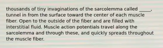 thousands of tiny invaginations of the sarcolemma called _____, tunnel in from the surface toward the center of each muscle fiber. Open to the outside of the fiber and are filled with interstitial fluid. Muscle action potentials travel along the sarcolemma and through these, and quickly spreads throughout the muscle fiber.