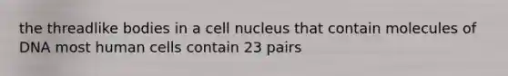 the threadlike bodies in a cell nucleus that contain molecules of DNA most human cells contain 23 pairs