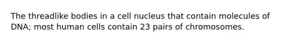 The threadlike bodies in a cell nucleus that contain molecules of DNA; most human cells contain 23 pairs of chromosomes.