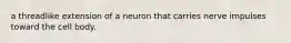 a threadlike extension of a neuron that carries nerve impulses toward the cell body.