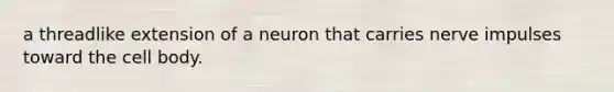 a threadlike extension of a neuron that carries nerve impulses toward the cell body.