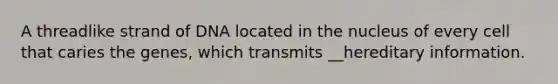 A threadlike strand of DNA located in the nucleus of every cell that caries the genes, which transmits __hereditary information.