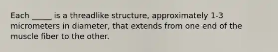 Each _____ is a threadlike structure, approximately 1-3 micrometers in diameter, that extends from one end of the muscle fiber to the other.