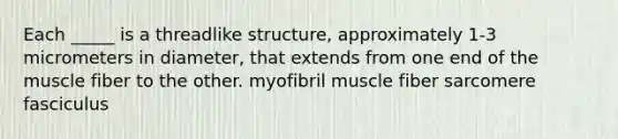 Each _____ is a threadlike structure, approximately 1-3 micrometers in diameter, that extends from one end of the muscle fiber to the other. myofibril muscle fiber sarcomere fasciculus