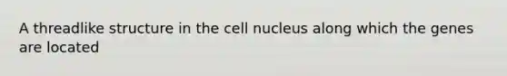 A threadlike structure in the cell nucleus along which the genes are located