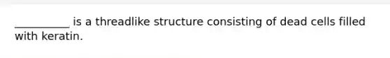 __________ is a threadlike structure consisting of dead cells filled with keratin.