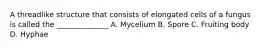 A threadlike structure that consists of elongated cells of a fungus is called the ______________ A. Mycelium B. Spore C. Fruiting body D. Hyphae