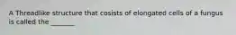 A Threadlike structure that cosists of elongated cells of a fungus is called the _______