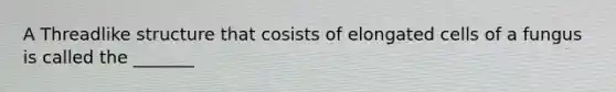 A Threadlike structure that cosists of elongated cells of a fungus is called the _______