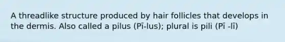 A threadlike structure produced by hair follicles that develops in the dermis. Also called a pilus (Pī-lus); plural is pili (Pī -lī)