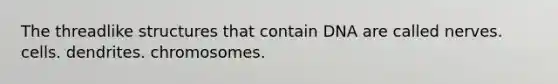 The threadlike structures that contain DNA are called nerves. cells. dendrites. chromosomes.
