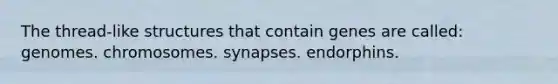 The thread-like structures that contain genes are called: genomes. chromosomes. synapses. endorphins.