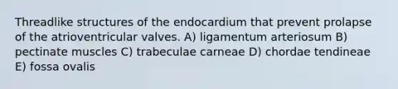 Threadlike structures of the endocardium that prevent prolapse of the atrioventricular valves. A) ligamentum arteriosum B) pectinate muscles C) trabeculae carneae D) chordae tendineae E) fossa ovalis