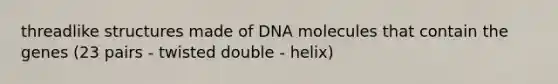 threadlike structures made of DNA molecules that contain the genes (23 pairs - twisted double - helix)