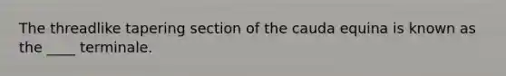The threadlike tapering section of the cauda equina is known as the ____ terminale.