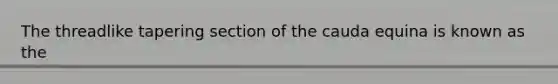 The threadlike tapering section of the cauda equina is known as the