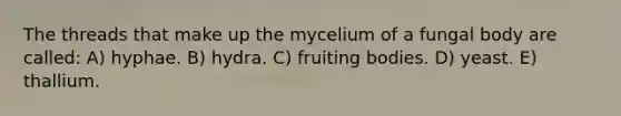 The threads that make up the mycelium of a fungal body are called: A) hyphae. B) hydra. C) fruiting bodies. D) yeast. E) thallium.