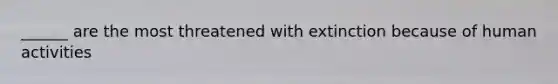 ______ are the most threatened with extinction because of human activities