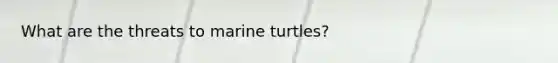 What are the threats to marine turtles?