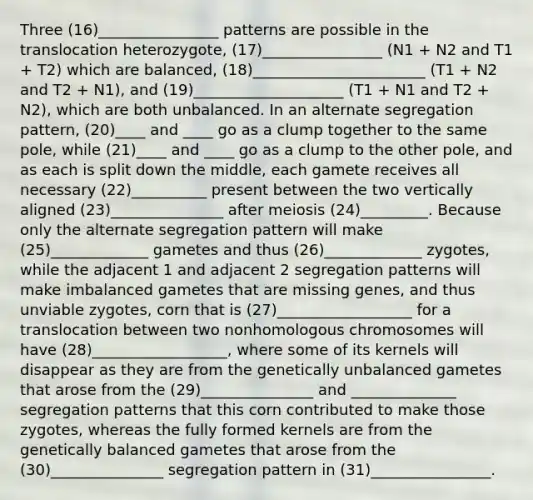 Three (16)________________ patterns are possible in the translocation heterozygote, (17)________________ (N1 + N2 and T1 + T2) which are balanced, (18)_______________________ (T1 + N2 and T2 + N1), and (19)____________________ (T1 + N1 and T2 + N2), which are both unbalanced. In an alternate segregation pattern, (20)____ and ____ go as a clump together to the same pole, while (21)____ and ____ go as a clump to the other pole, and as each is split down the middle, each gamete receives all necessary (22)__________ present between the two vertically aligned (23)_______________ after meiosis (24)_________. Because only the alternate segregation pattern will make (25)_____________ gametes and thus (26)_____________ zygotes, while the adjacent 1 and adjacent 2 segregation patterns will make imbalanced gametes that are missing genes, and thus unviable zygotes, corn that is (27)__________________ for a translocation between two nonhomologous chromosomes will have (28)__________________, where some of its kernels will disappear as they are from the genetically unbalanced gametes that arose from the (29)_______________ and ______________ segregation patterns that this corn contributed to make those zygotes, whereas the fully formed kernels are from the genetically balanced gametes that arose from the (30)_______________ segregation pattern in (31)________________.