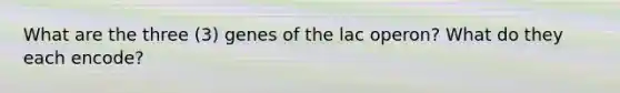 What are the three (3) genes of the lac operon? What do they each encode?