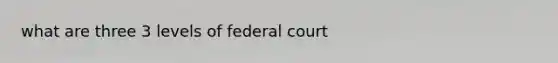 what are three 3 levels of federal court