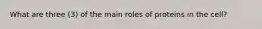 What are three (3) of the main roles of proteins in the cell?