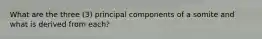 What are the three (3) principal components of a somite and what is derived from each?