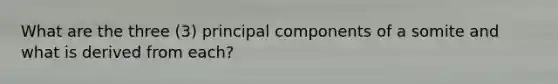 What are the three (3) principal components of a somite and what is derived from each?