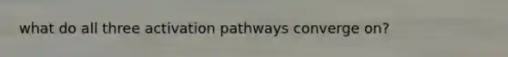 what do all three activation pathways converge on?