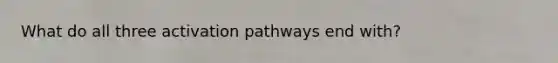 What do all three activation pathways end with?