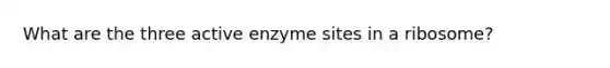 What are the three active enzyme sites in a ribosome?