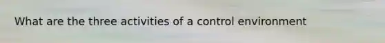 What are the three activities of a control environment