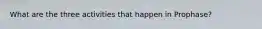 What are the three activities that happen in Prophase?