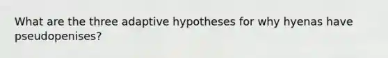 What are the three adaptive hypotheses for why hyenas have pseudopenises?