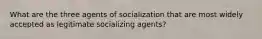 What are the three agents of socialization that are most widely accepted as legitimate socializing agents?