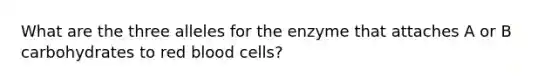 What are the three alleles for the enzyme that attaches A or B carbohydrates to red blood cells?