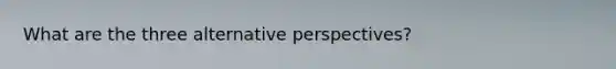 What are the three alternative perspectives?