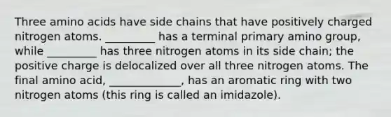 Three amino acids have side chains that have positively charged nitrogen atoms. _________ has a terminal primary amino group, while _________ has three nitrogen atoms in its side chain; the positive charge is delocalized over all three nitrogen atoms. The final amino acid, _____________, has an aromatic ring with two nitrogen atoms (this ring is called an imidazole).