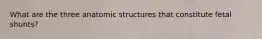 What are the three anatomic structures that constitute fetal shunts?