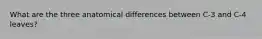 What are the three anatomical differences between C-3 and C-4 leaves?