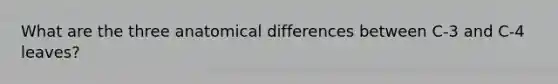 What are the three anatomical differences between C-3 and C-4 leaves?