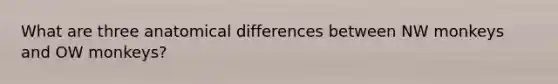 What are three anatomical differences between NW monkeys and OW monkeys?