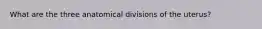 What are the three anatomical divisions of the uterus?