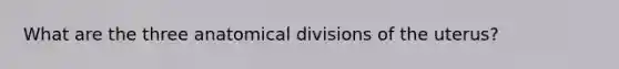What are the three anatomical divisions of the uterus?